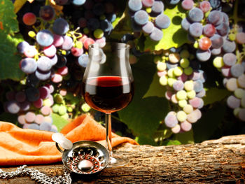 Close-up of wine bottles on table