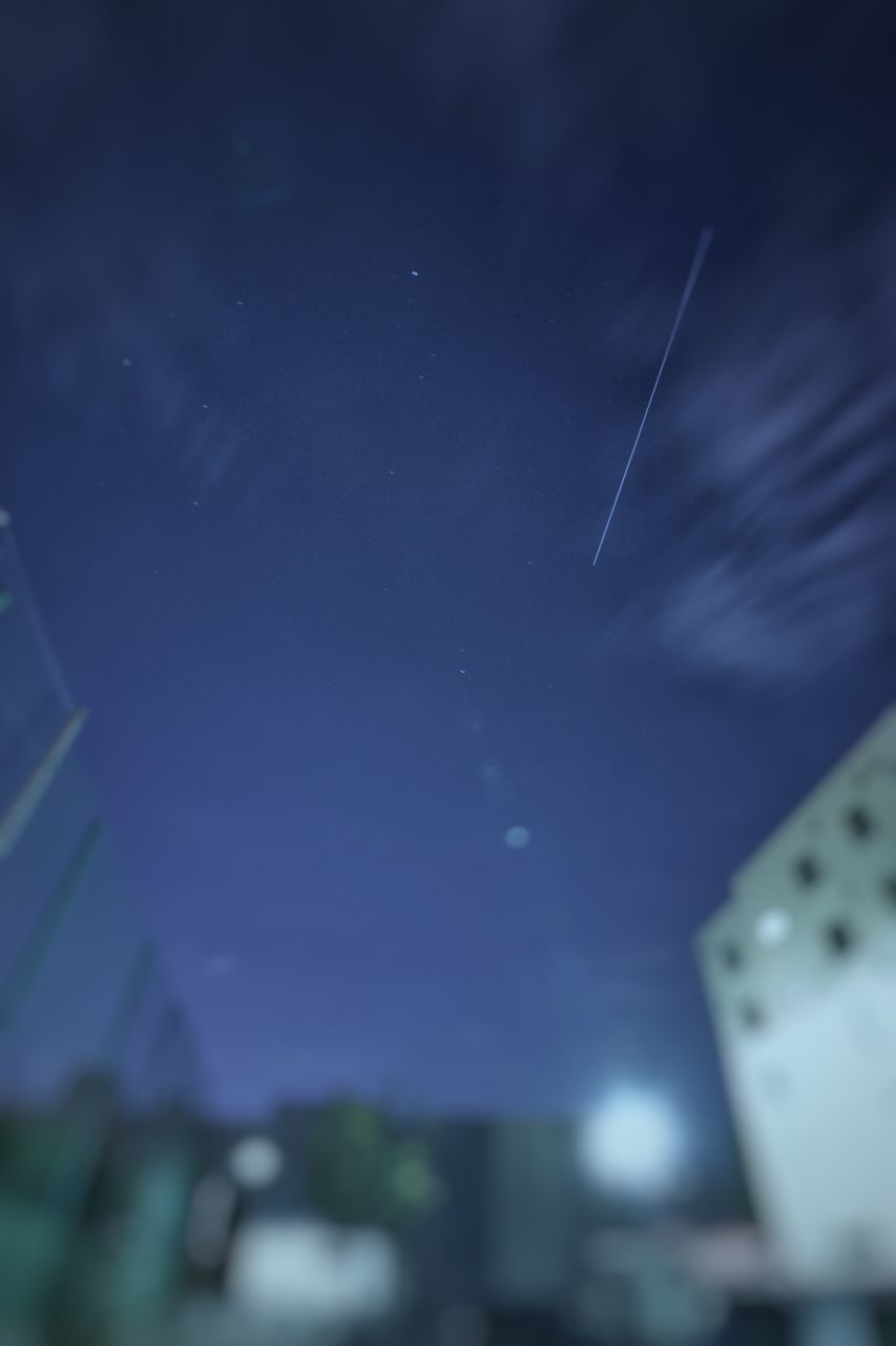 LOW ANGLE VIEW OF PLANTS AGAINST SKY AT NIGHT