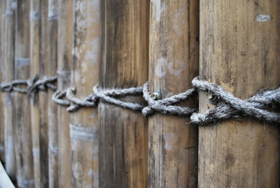 Close-up of rope tied on wooden fence