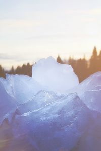 Scenic view of snow covered landscape