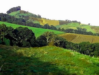 Scenic view of landscape against clear sky