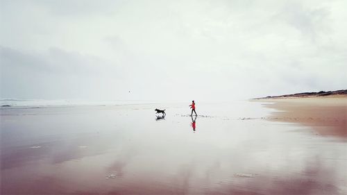 People on beach against sky