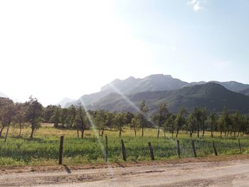 Scenic view of field and mountains against sky