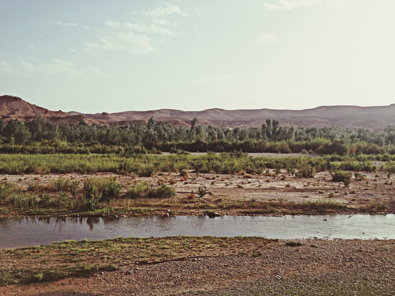 tranquil scene, tranquility, scenics, mountain, landscape, beauty in nature, sky, nature, water, tree, non-urban scene, growth, lake, mountain range, plant, day, idyllic, remote, grass, field