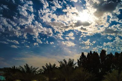 Low angle view of trees against cloudy sky