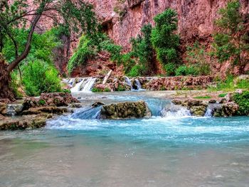 Scenic view of waterfall in forest