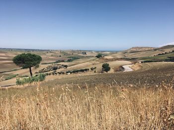 Scenic view of farm against clear sky