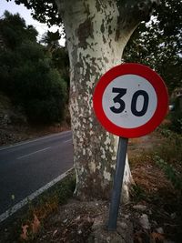 Close-up of road sign on tree trunk