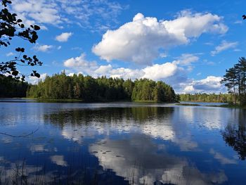 reflection