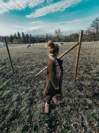 View of dog on field