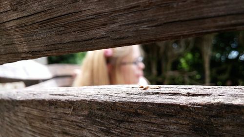 Close-up of wooden plank