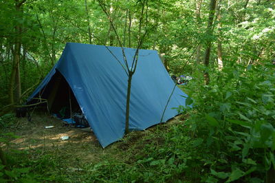 Tent amid trees on landscape