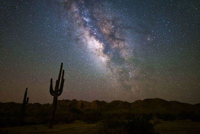 Scenic view of star field over desert at night