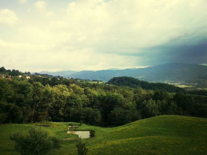 tree, sky, tranquil scene, green color, landscape, tranquility, scenics, mountain, beauty in nature, cloud - sky, nature, cloudy, grass, lush foliage, growth, cloud, idyllic, field, non-urban scene, green