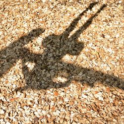 High angle view of shadow on field