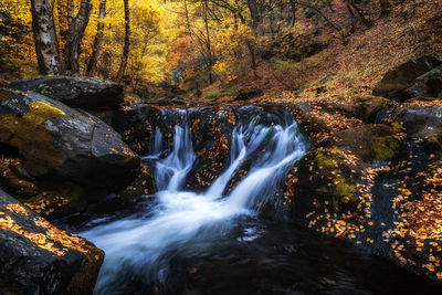 Scenic view of waterfall in forest during autumn