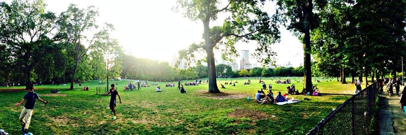 People relaxing on grassy field in park