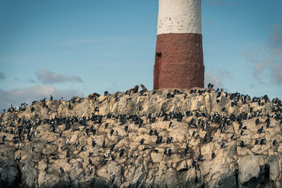 Low angle view of lighthouse against sky