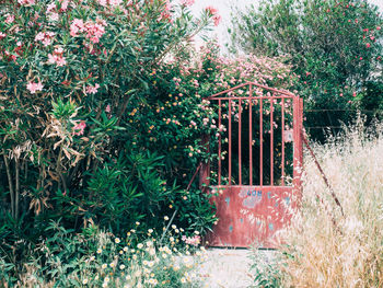 View of plants and trees