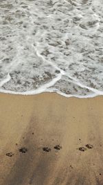 Close-up of waves on beach