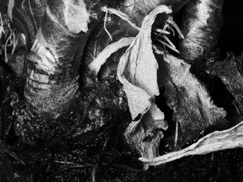 Full frame shot of white background