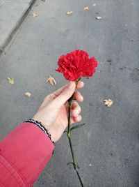 Close-up of hand holding red rose on street