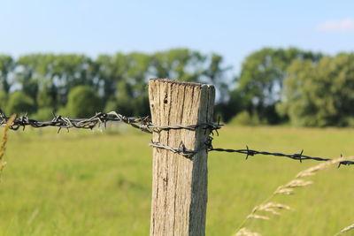 Barbed wire on wooden post at grassy field