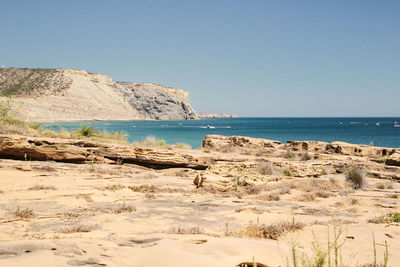 Scenic view of beach against clear sky