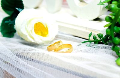 Close-up of yellow flower on table