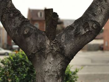 Close-up of human hand against sky