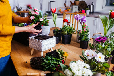 Potted plants at flower pot