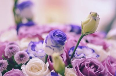 Close-up of flowers
