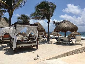 Chairs and palm trees on beach against sky