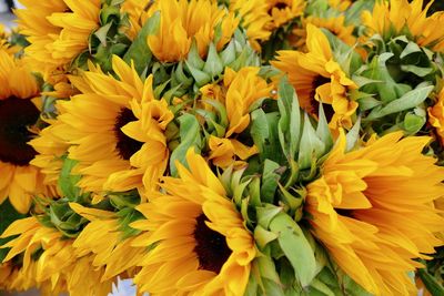 Full frame shot of yellow flowers for sale