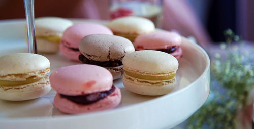 Macaroons in plate