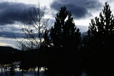 Silhouette trees against sky during sunset