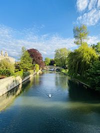 Scenic view of river by trees against sky