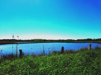 Scenic view of lake against clear blue sky