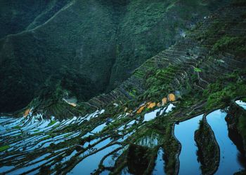 Scenic view of lake amidst trees in forest