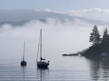 Sailboats sailing in sea against sky