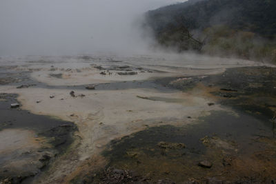 environment