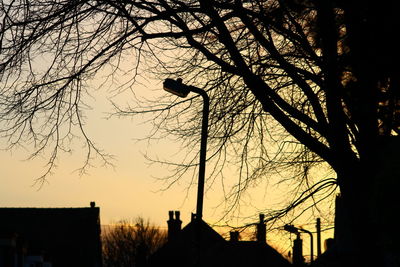 Low angle view of bare tree against sky