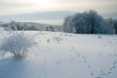 Frosty day on the top of the mountain