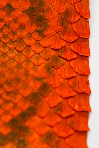 Full frame shot of orange