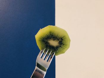 Close-up of hand holding fruit against white background