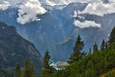 Panoramic view of pine trees and mountains against sky