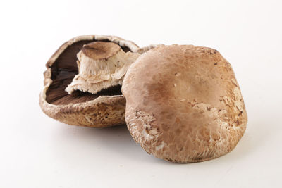 Close-up of bread against white background