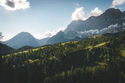 Landscape photo of green forest and rock mountains