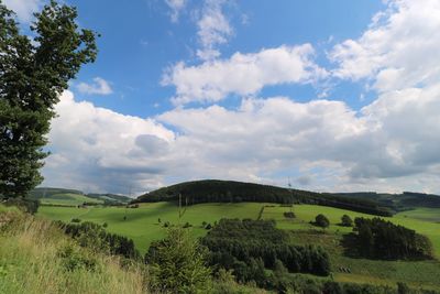 Scenic view of agricultural field against sky