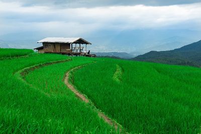 Scenic view of farm against sky